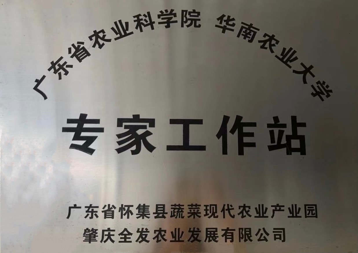 專家工作站